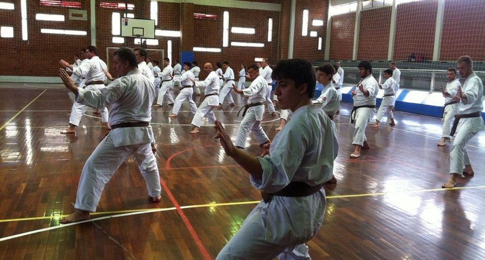 II Módulo Curso de Preparação para o Exame de Faixa Preta